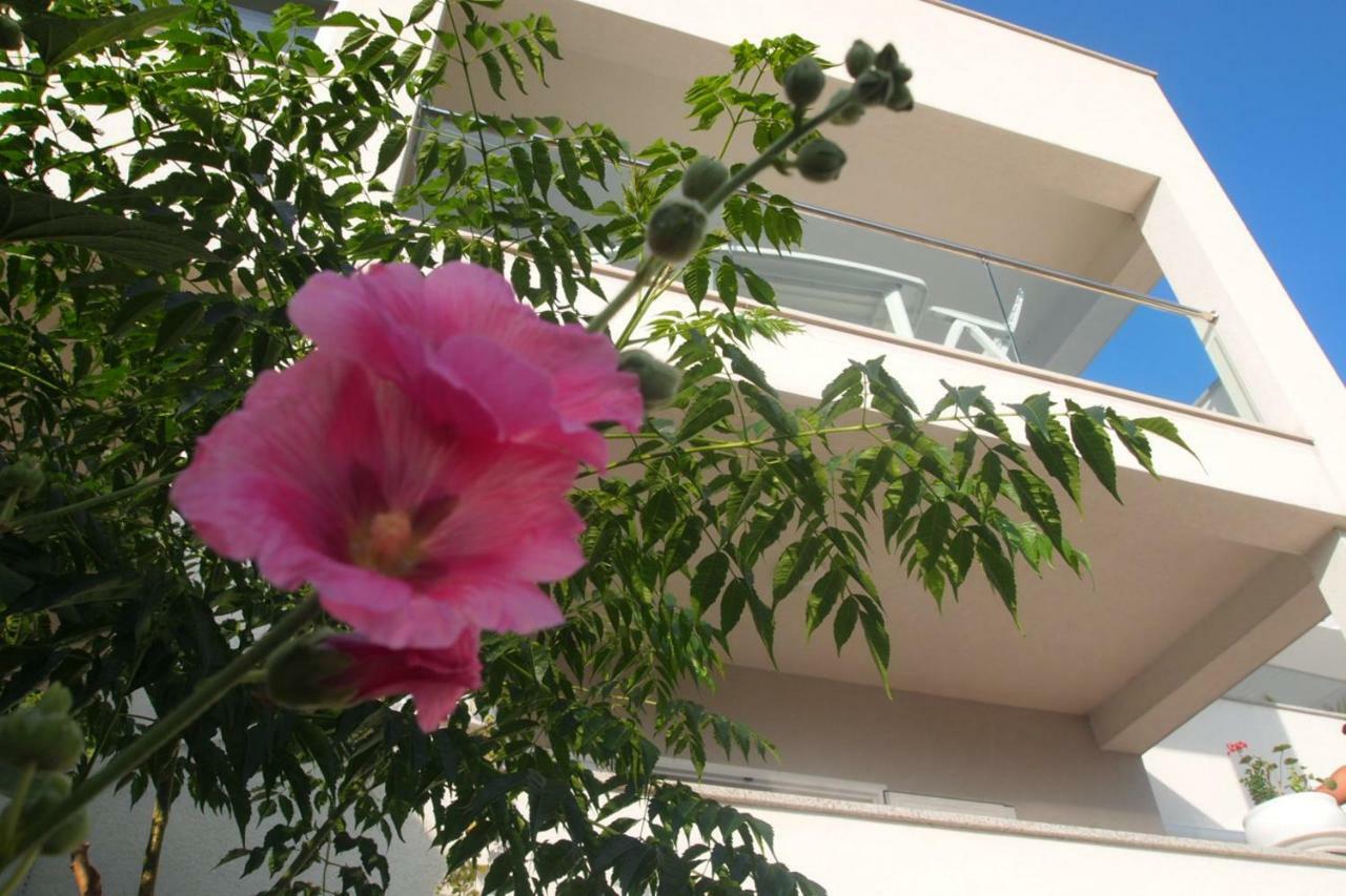 Open Hus Apartment คราวาวิซา ภายนอก รูปภาพ